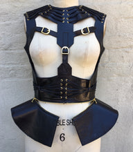 LEATHER HARNESS